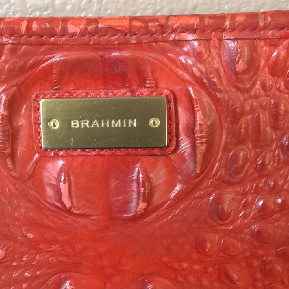 BRAHMIN - Picture 2 of 5